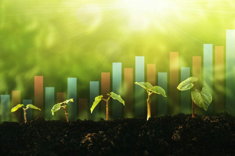 LA PMI INNOVATIVA NELLA TRANSIZIONE GREEN