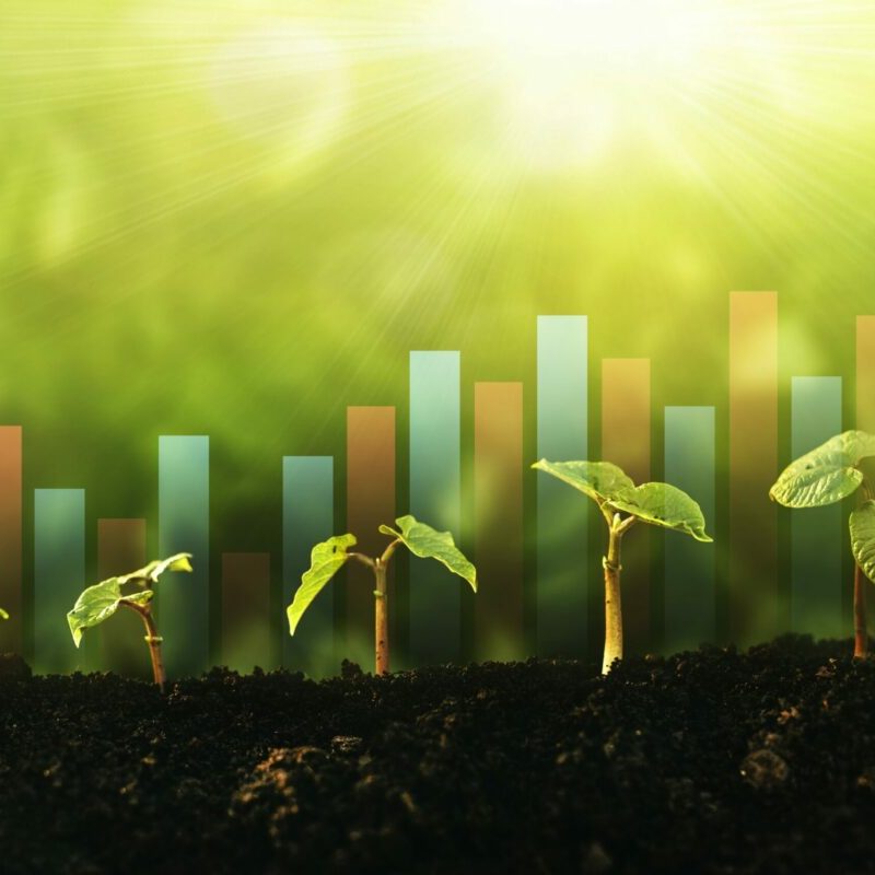 LA PMI INNOVATIVA NELLA TRANSIZIONE GREEN